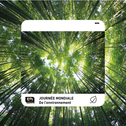Journ&eacute;e mondiale de l'environnement