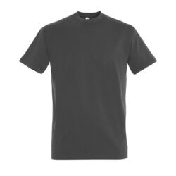 T-Shirt Homme Imperial Coucy-les-Eppes